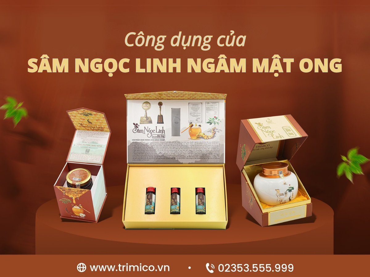 T&aacute;c dụng của s&acirc;m Ngọc Linh ng&acirc;m mật ong 